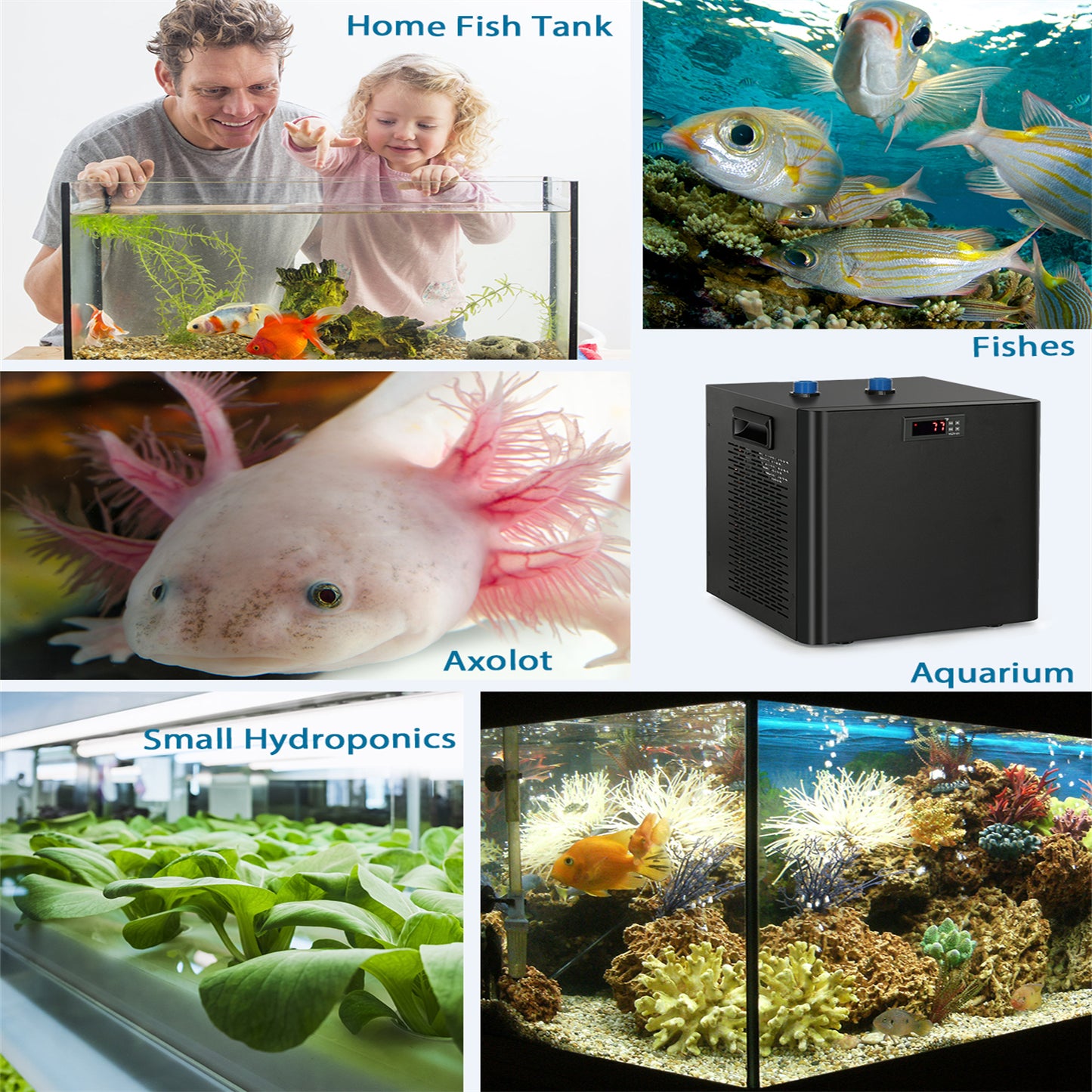 79GAL Jellyfish Aquarium Water Chiller Fish Tank Cooler Water Cooling Machine